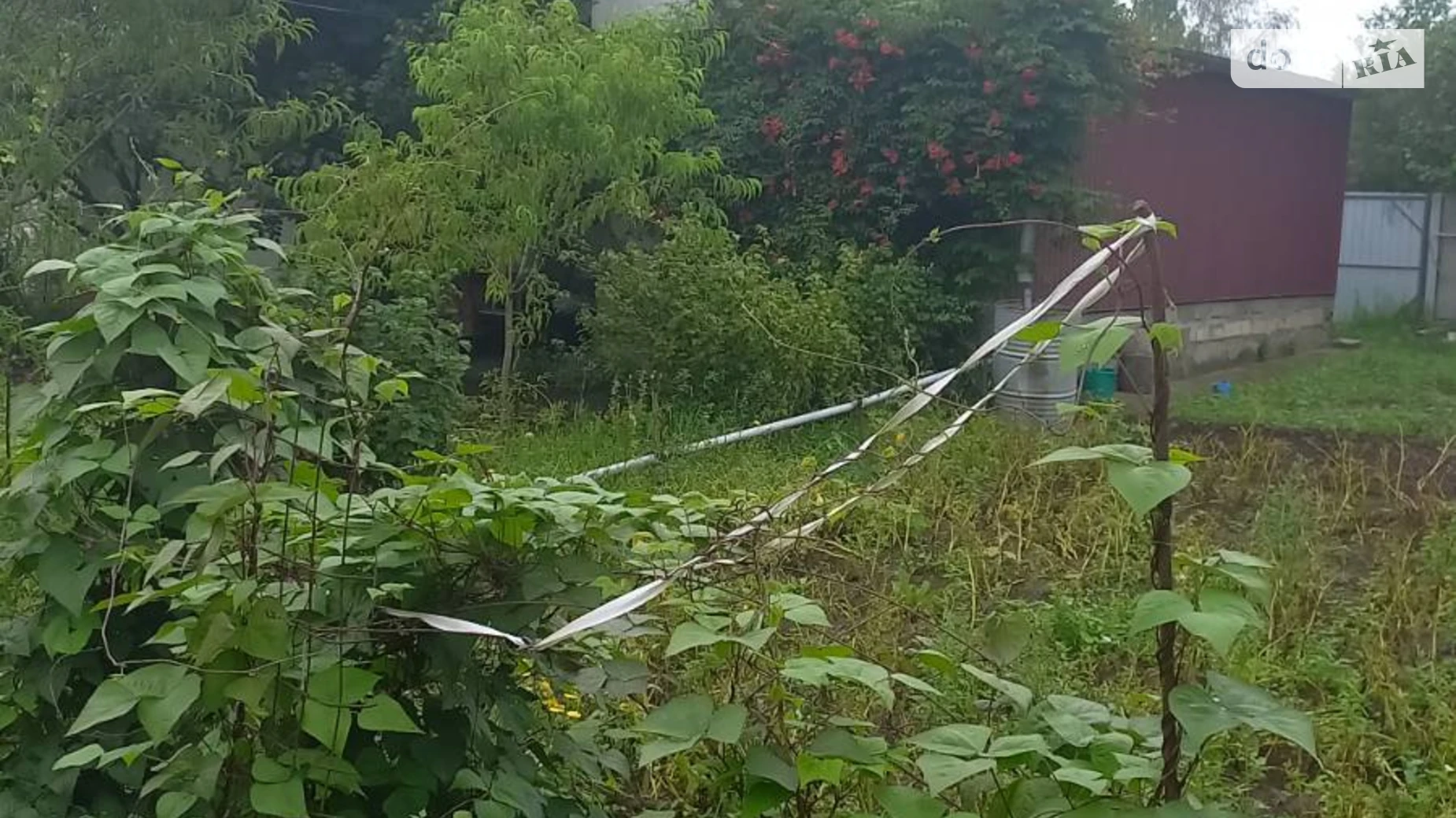 мас. Рибачье Петрик, цена: 32000 $ - фото 3