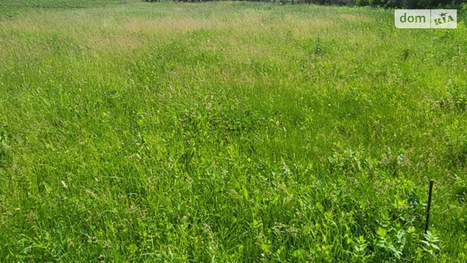 Продается земельный участок 0.99 соток в Винницкой области, цена: 9000 $ - фото 3