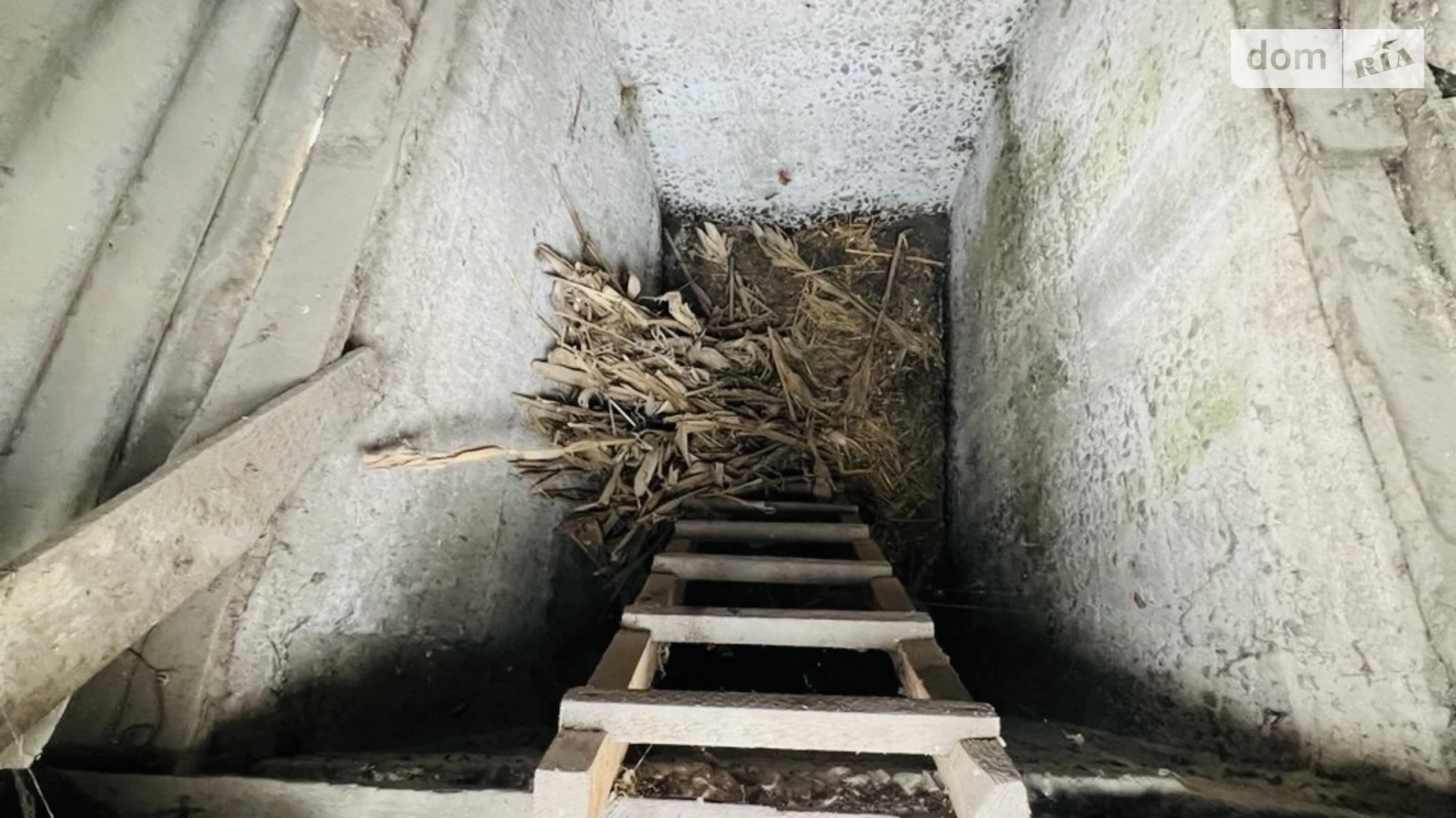 Продается одноэтажный дом 48.7 кв. м с баней/сауной, цена: 14500 $ - фото 4