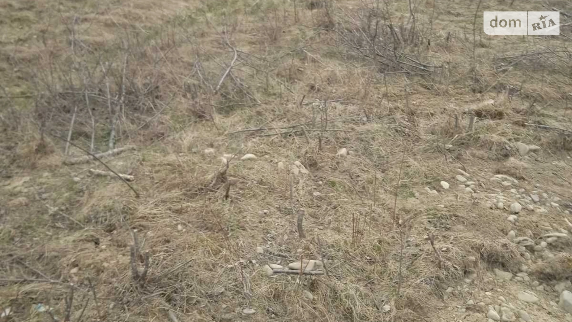 Продается земельный участок 0.1436 соток в Ивано-Франковской области, цена: 15000 $ - фото 2