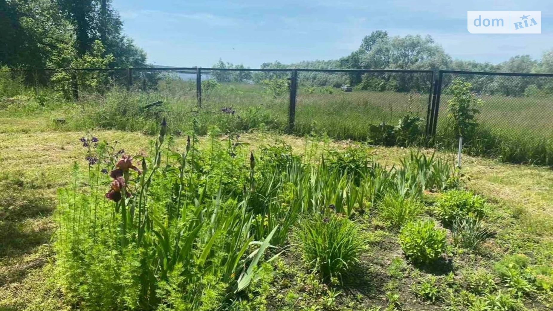 Продается одноэтажный дом 48.4 кв. м с беседкой, цена: 25000 $ - фото 2