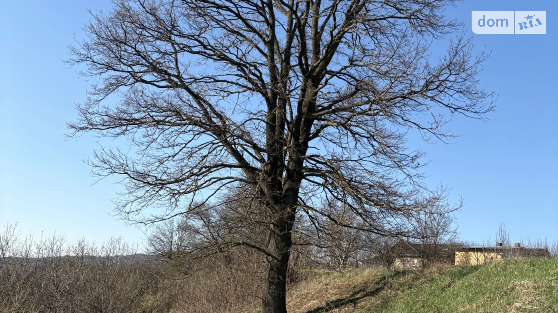 Продается земельный участок 0.1948 соток в Черновицкой области, цена: 10000 $ - фото 3