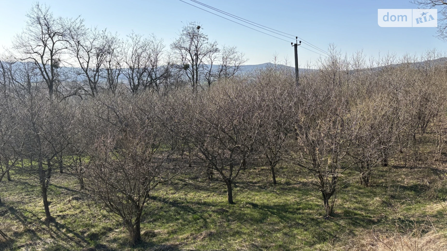 Продается земельный участок 0.1948 соток в Черновицкой области, цена: 10000 $ - фото 2