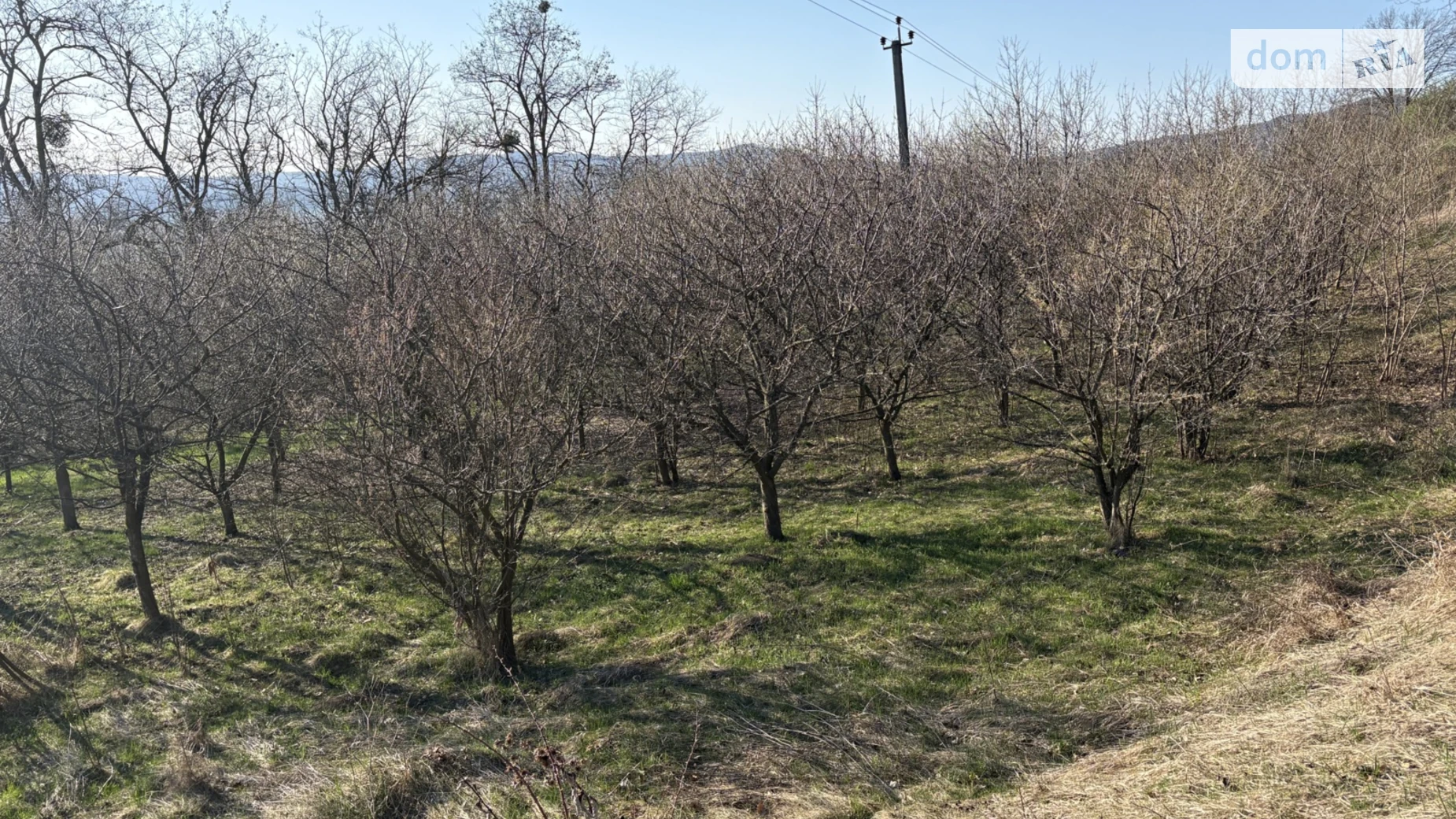 Продается земельный участок 0.1948 соток в Черновицкой области, цена: 10000 $ - фото 4