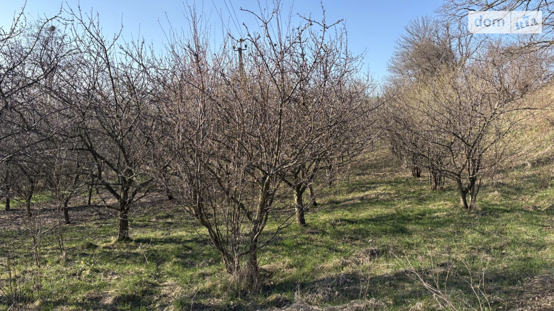 Продается земельный участок 0.1948 соток в Черновицкой области, цена: 10000 $ - фото 5