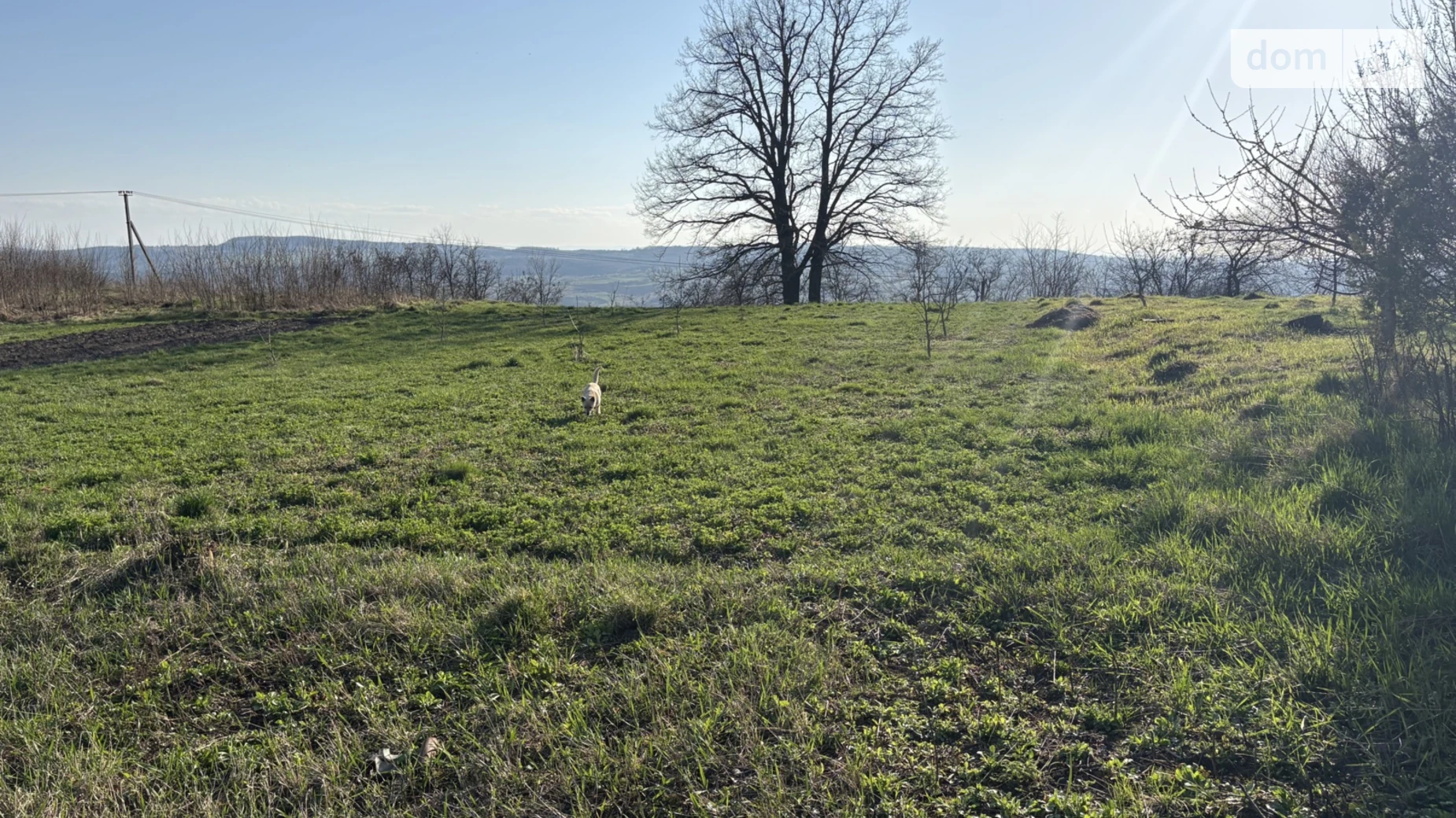 Продается земельный участок 0.25 соток в Черновицкой области, цена: 35000 $ - фото 2