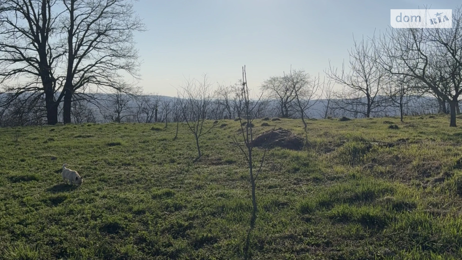 Продается земельный участок 0.25 соток в Черновицкой области, цена: 35000 $ - фото 5