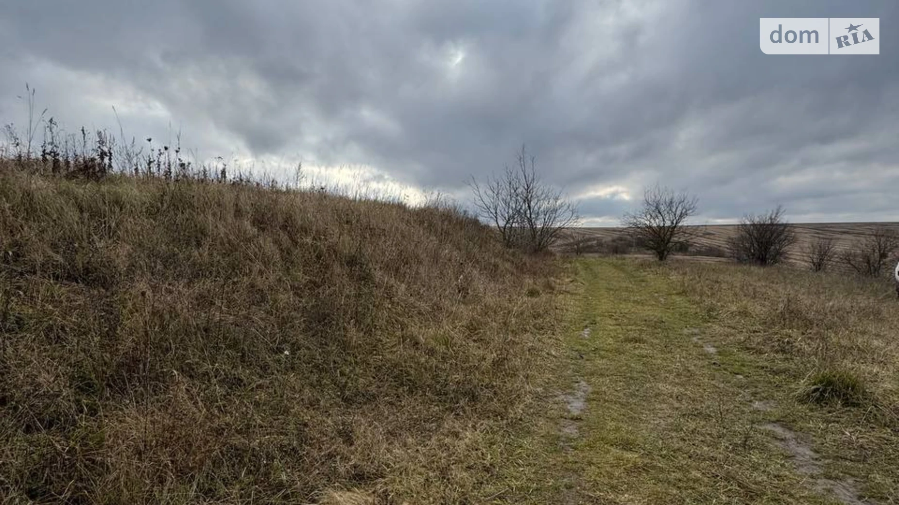 Продается земельный участок 158 соток в Хмельницкой области, цена: 77000 $ - фото 3