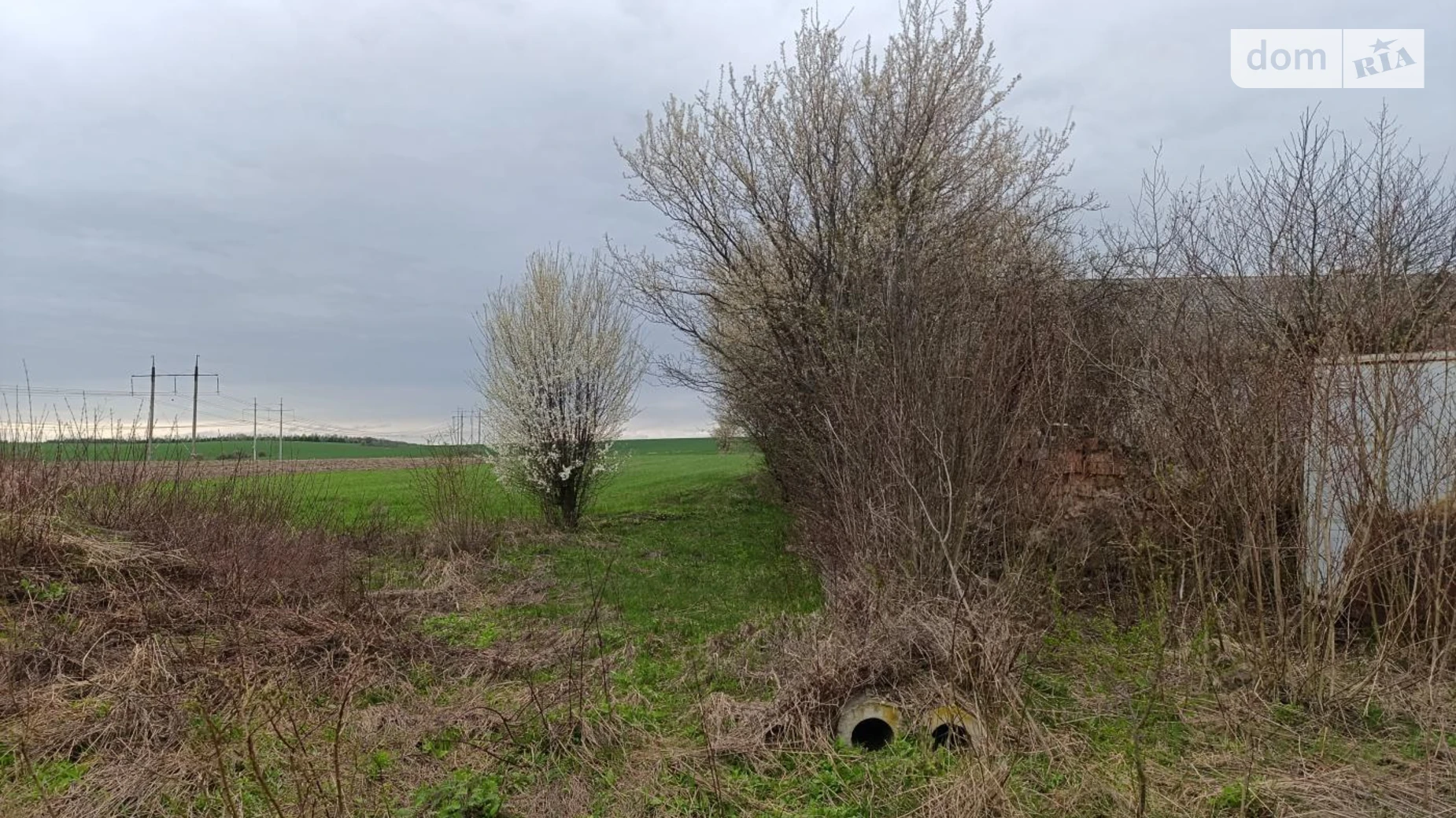 Продается земельный участок 21.06 соток в Ивано-Франковской области, цена: 14000 $ - фото 5