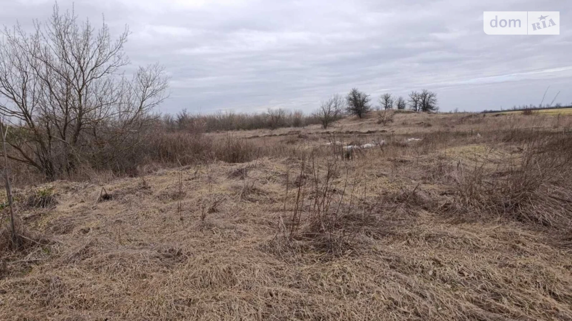 Сдается в аренду земельный участок 2.3031 соток в  области, цена: 12114 грн - фото 2