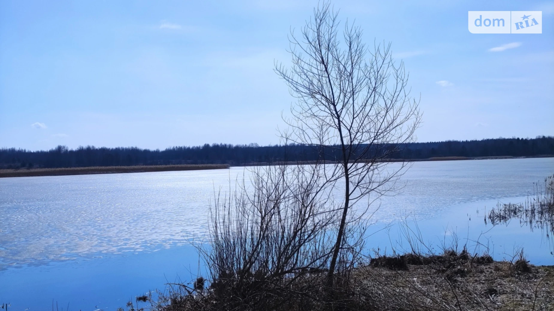 Продается земельный участок 6 соток в Житомирской области, цена: 1080000 $ - фото 5