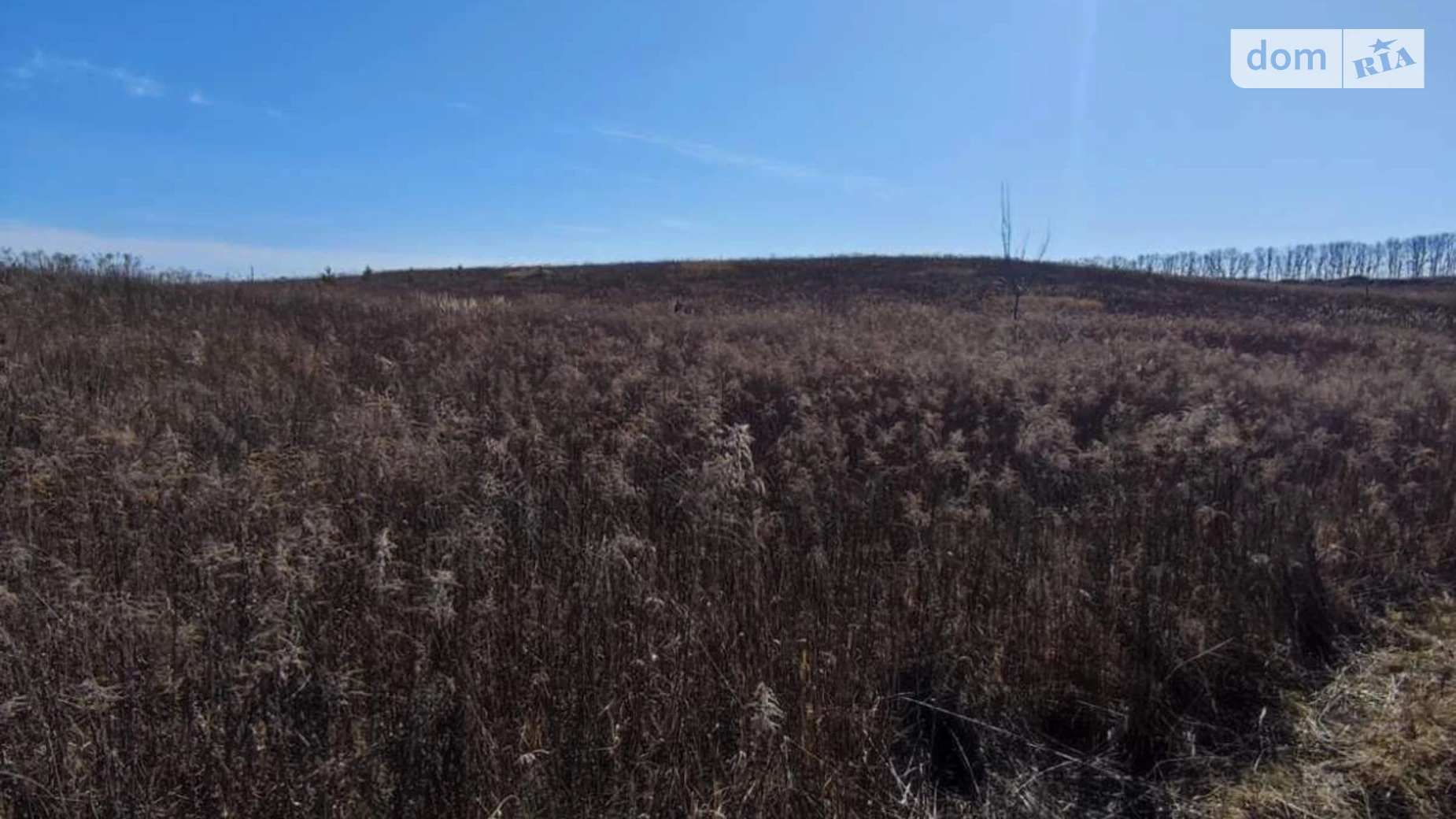 Зарванцы, цена: 450000 $ - фото 3