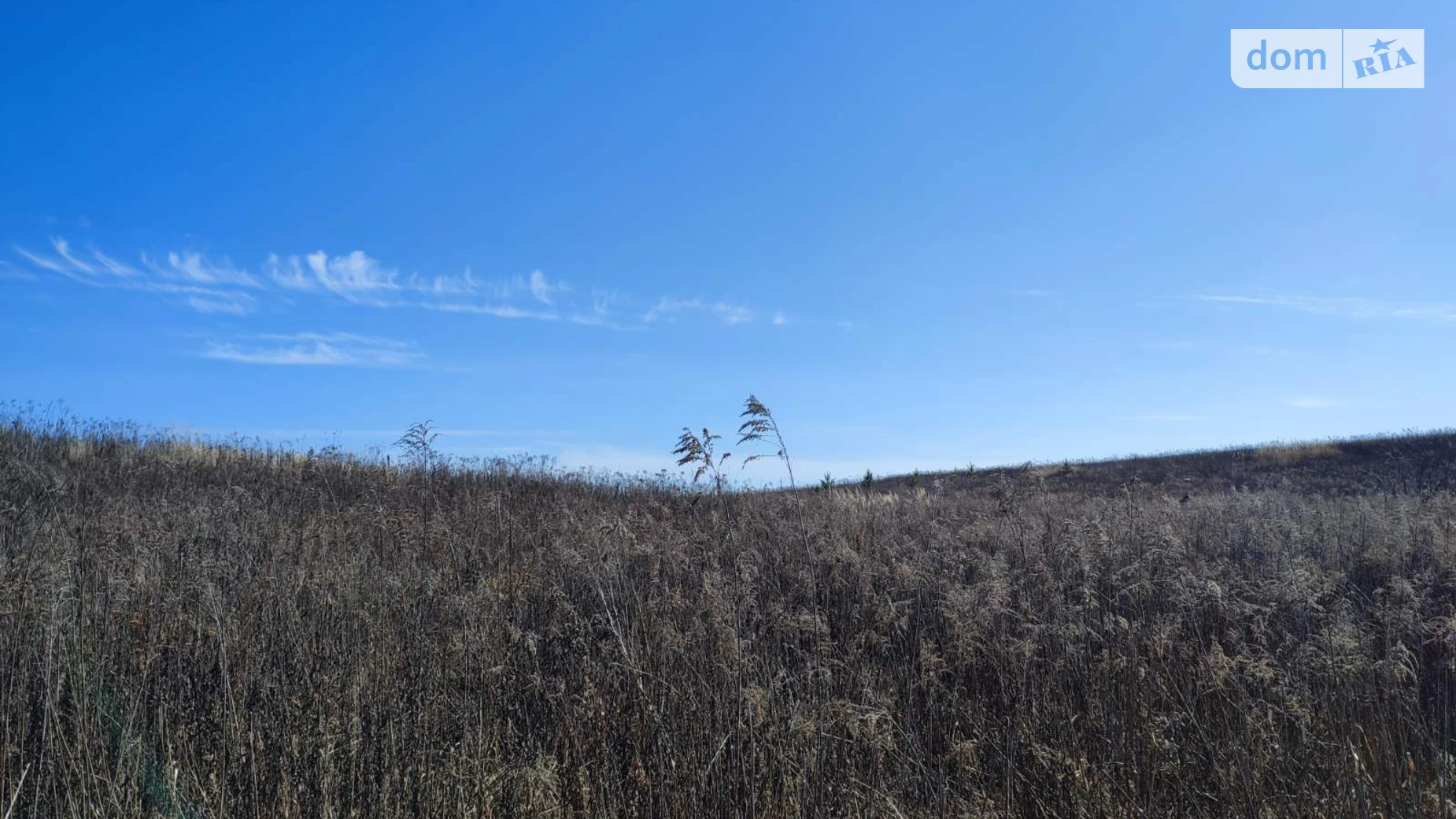 Зарванцы, цена: 450000 $ - фото 5