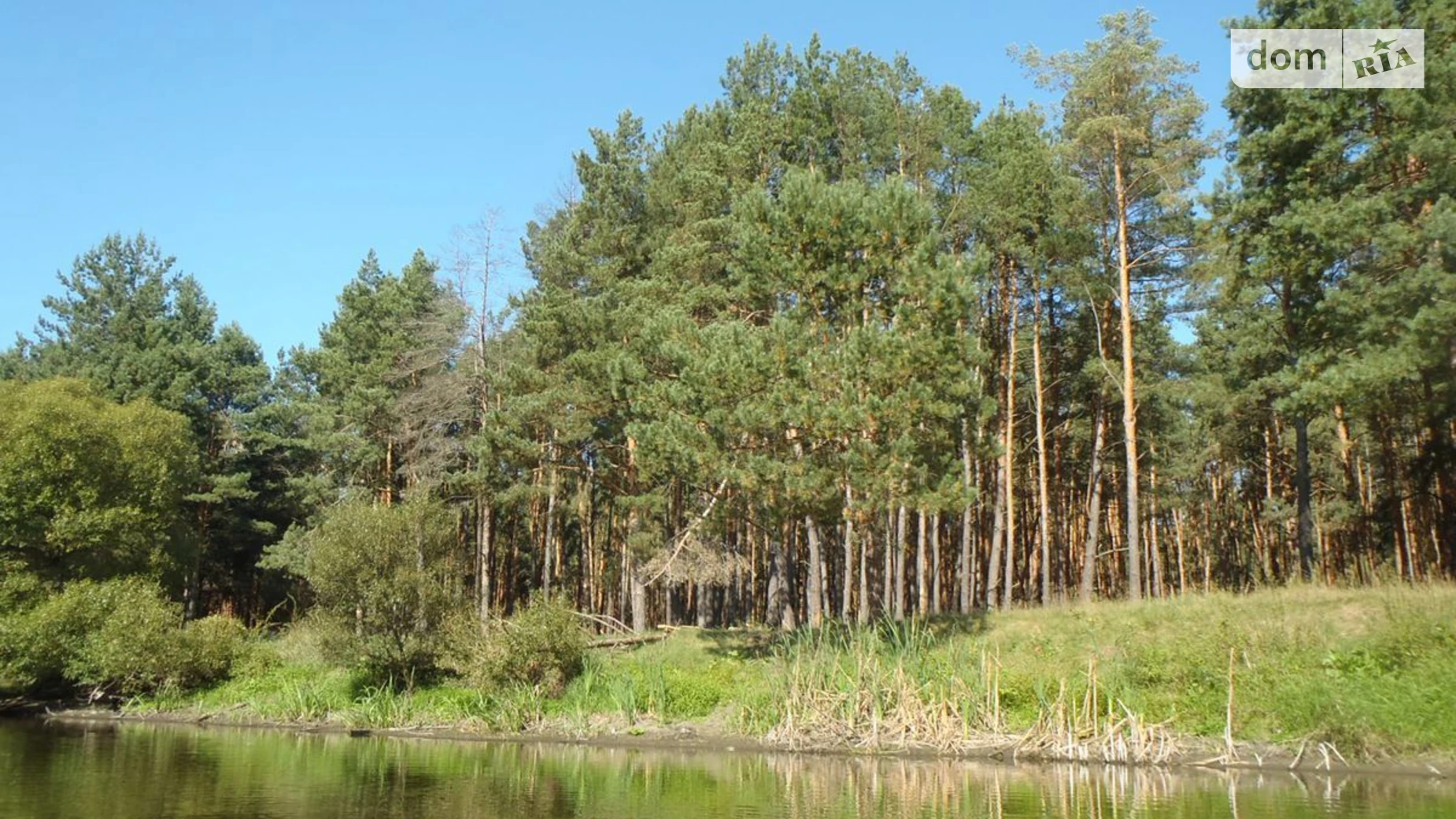 Продается земельный участок 25 соток в Житомирской области, цена: 20000 $ - фото 4