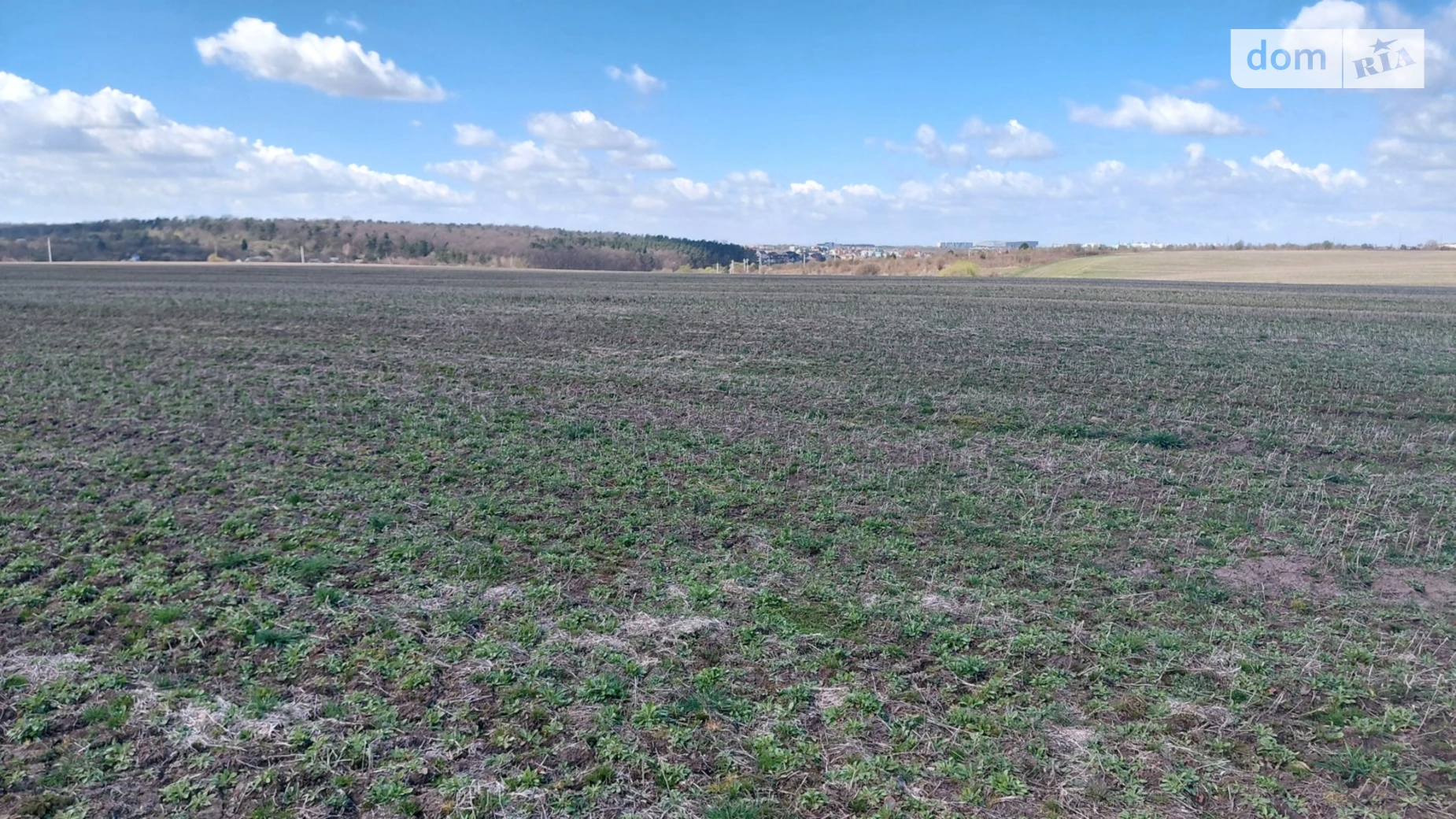 Продается земельный участок 2.1509 соток в Львовской области, цена: 42000 $ - фото 2