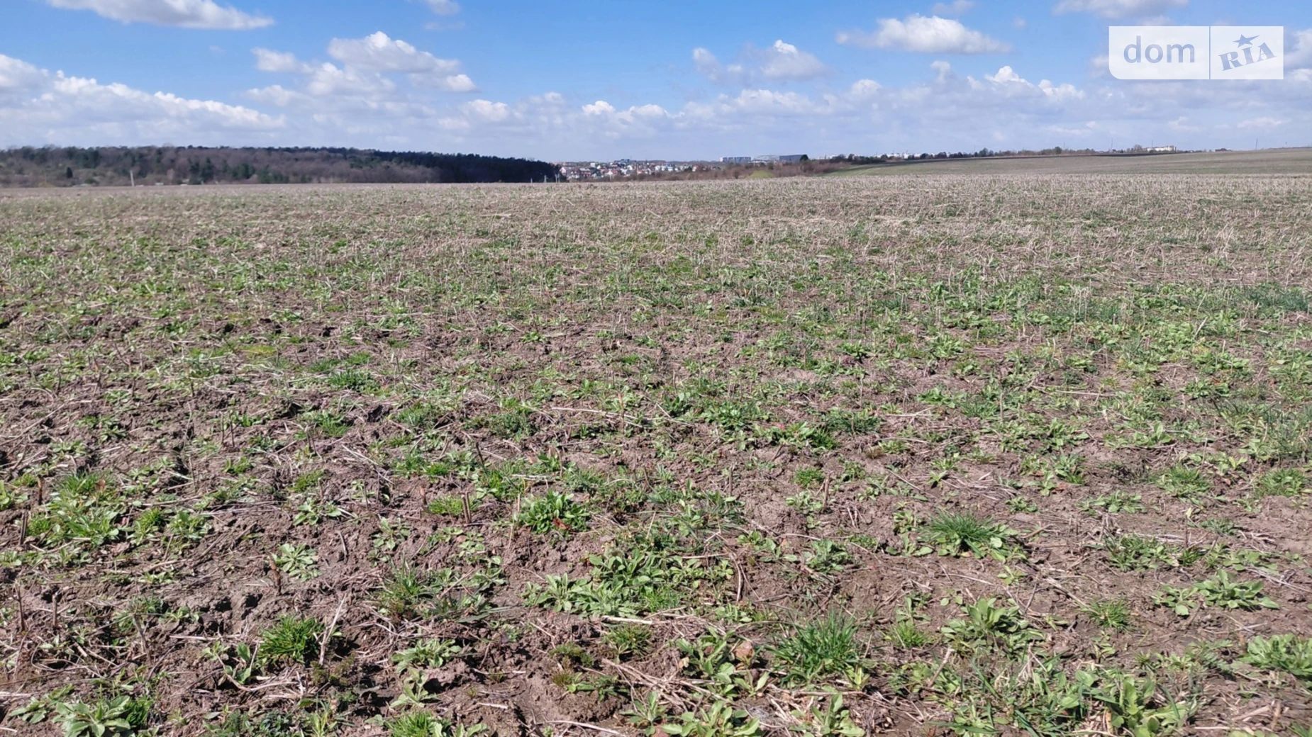 Продается земельный участок 2.1509 соток в Львовской области, цена: 42000 $ - фото 4