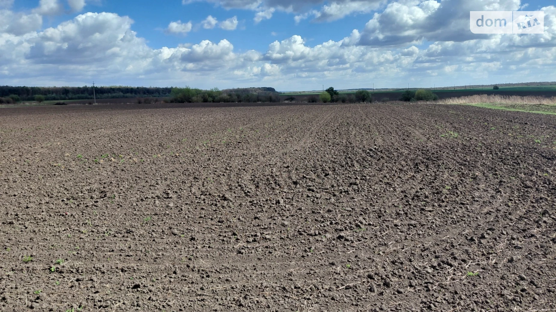 Продается земельный участок 66 соток в Львовской области, цена: 60000 $ - фото 2