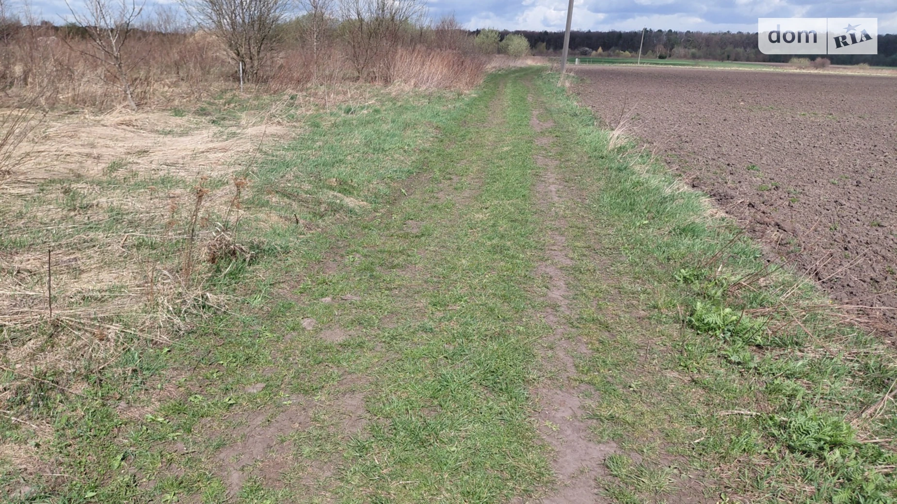 Продается земельный участок 66 соток в Львовской области, цена: 60000 $ - фото 3