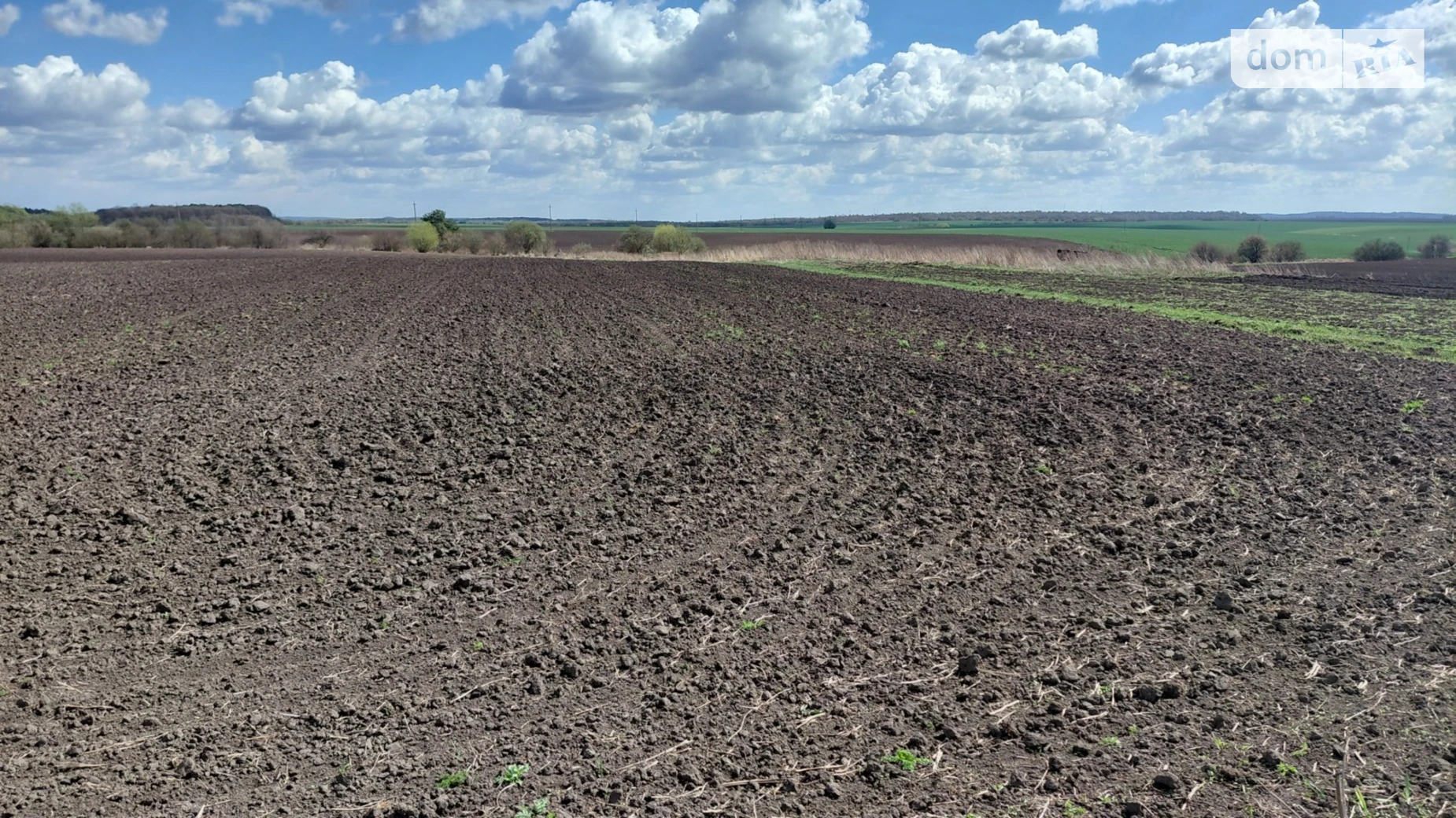 Продается земельный участок 66 соток в Львовской области, цена: 60000 $ - фото 5