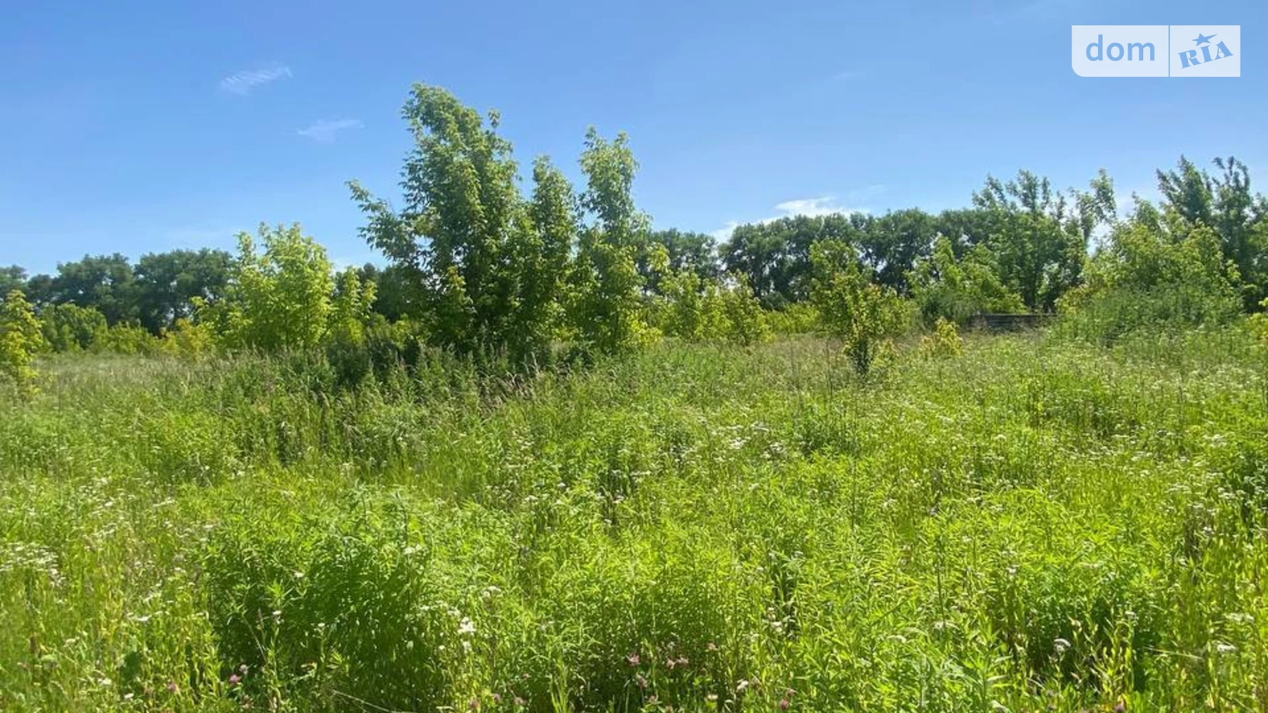 Продается земельный участок 10 соток в Хмельницкой области, цена: 7900 $ - фото 2