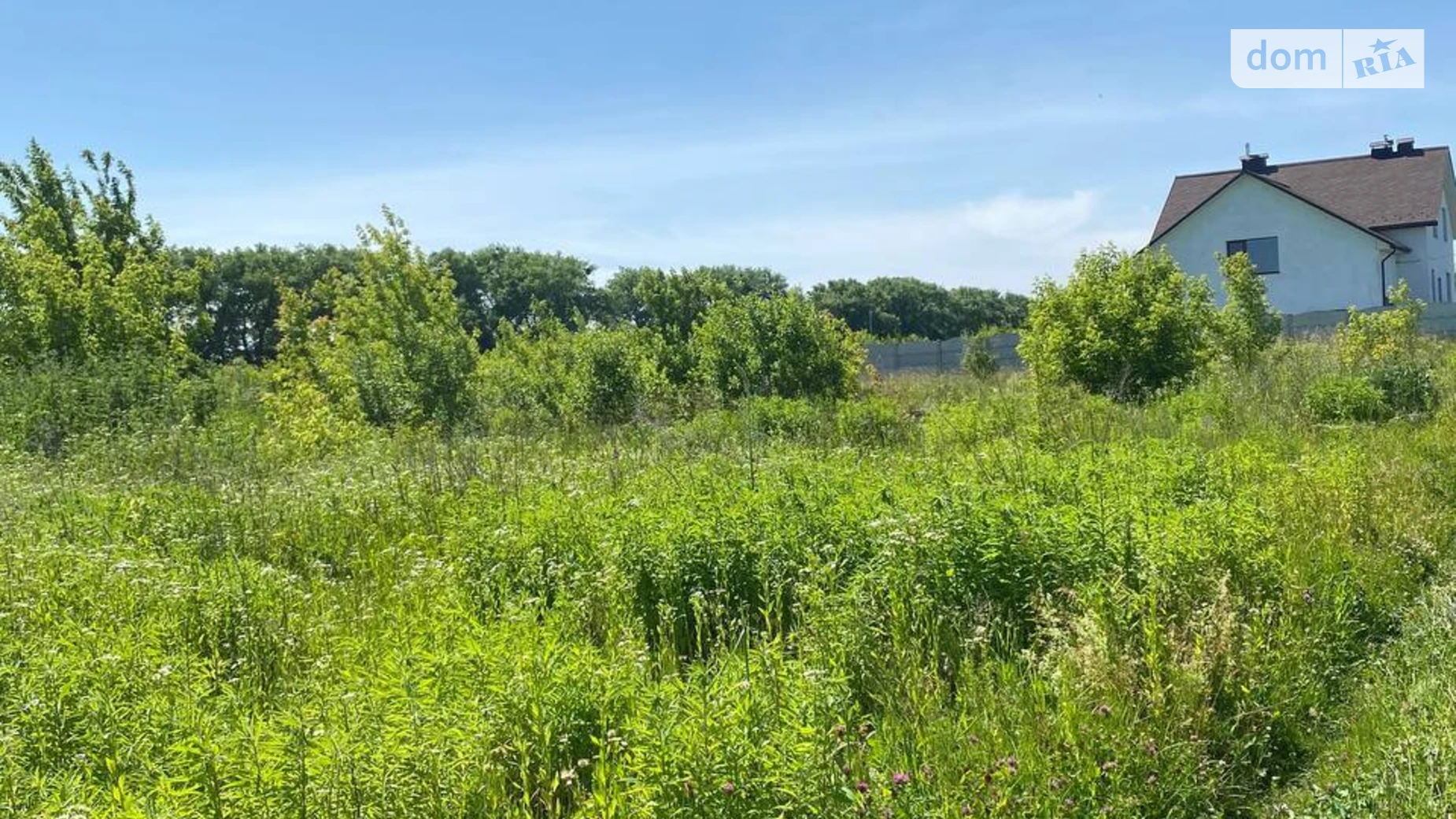 Продается земельный участок 10 соток в Хмельницкой области, цена: 7900 $ - фото 3