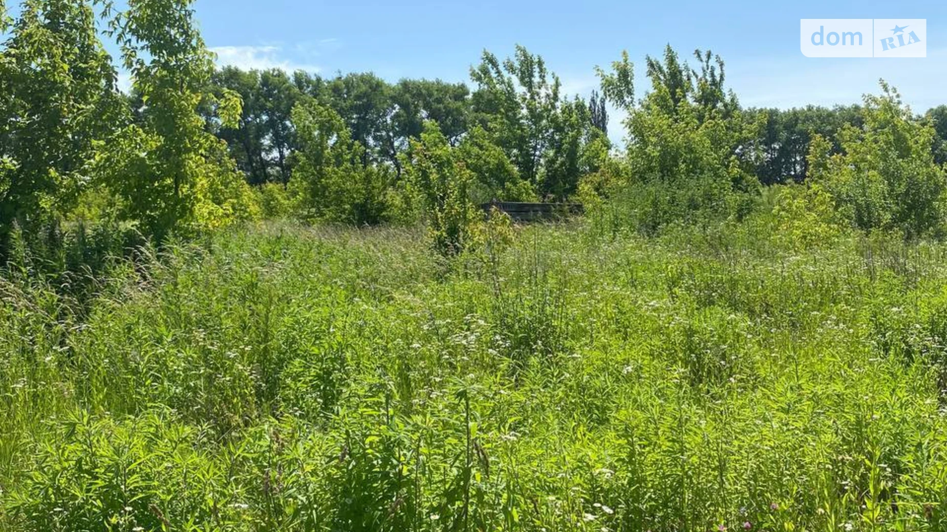 Продается земельный участок 10 соток в Хмельницкой области, цена: 7900 $ - фото 4