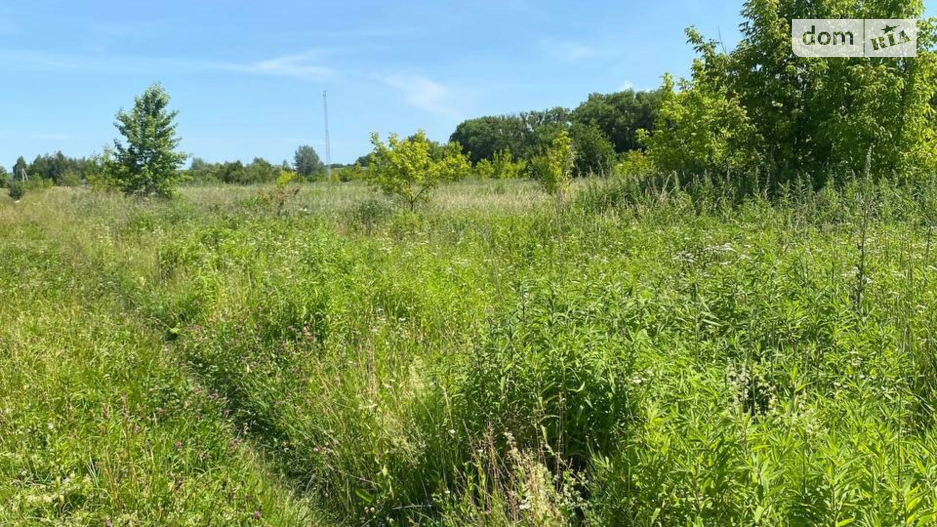 Продается земельный участок 10 соток в Хмельницкой области, цена: 7900 $ - фото 5