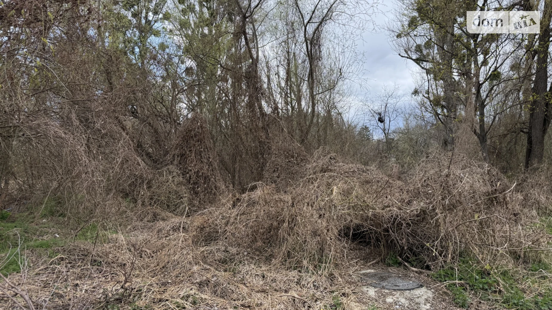 Центр Хмельницкий, цена: 235000 $ - фото 3