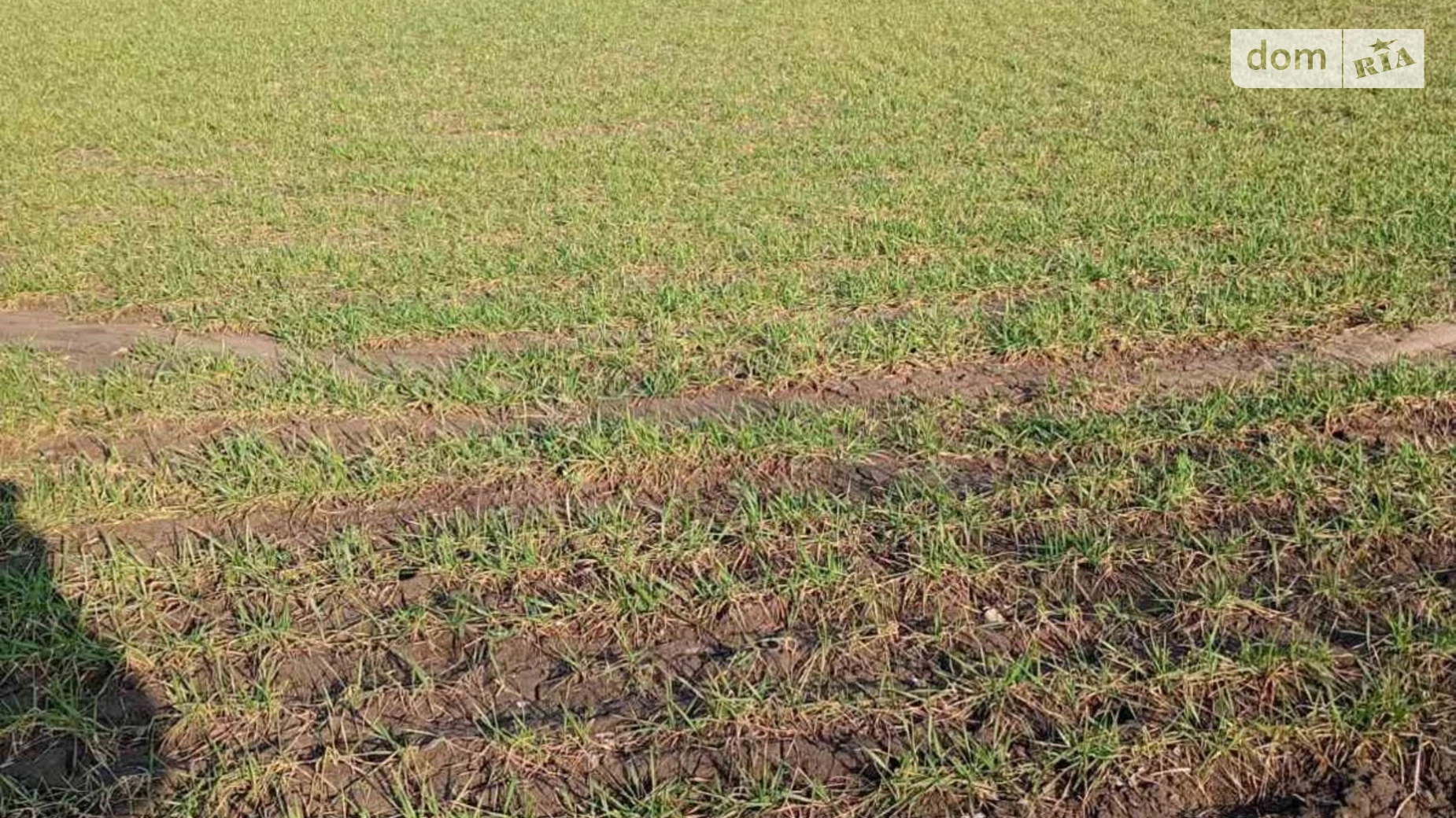 Сдается в аренду земельный участок 5 соток в Одесской области, цена: 13788 грн - фото 2