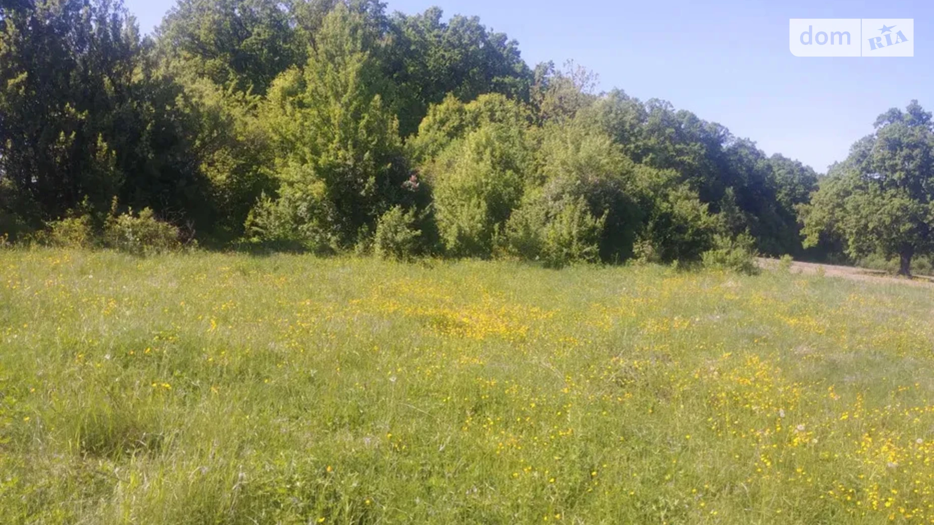 Продается земельный участок 0.2353 соток в Черновицкой области, цена: 7000 $ - фото 2