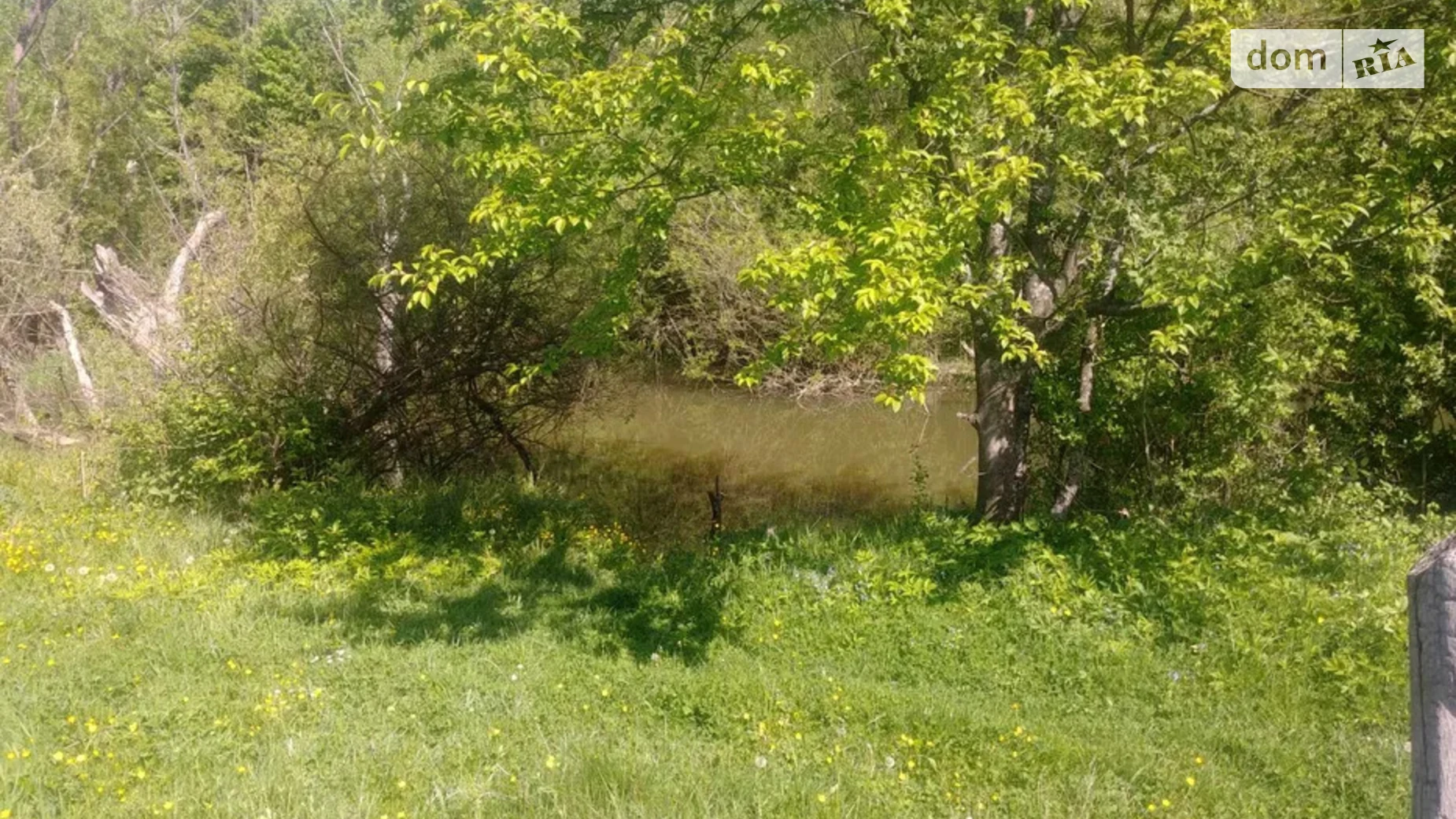Продается земельный участок 0.2353 соток в Черновицкой области, цена: 7000 $ - фото 3