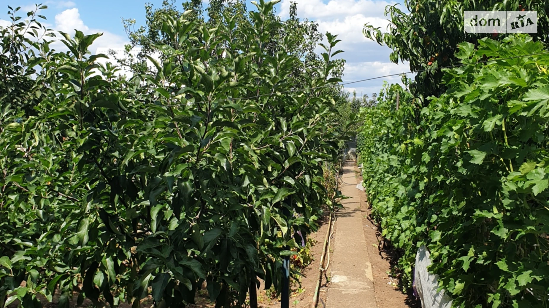 Продается земельный участок 5.7 соток в Николаевской области, цена: 30000 $ - фото 3