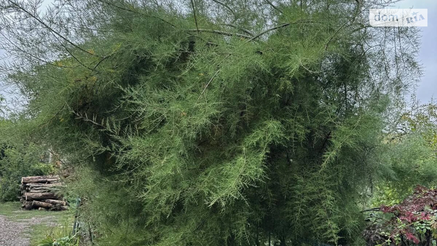 Продається земельна ділянка 6 соток у Хмельницькій області, цена: 6000 $ - фото 5