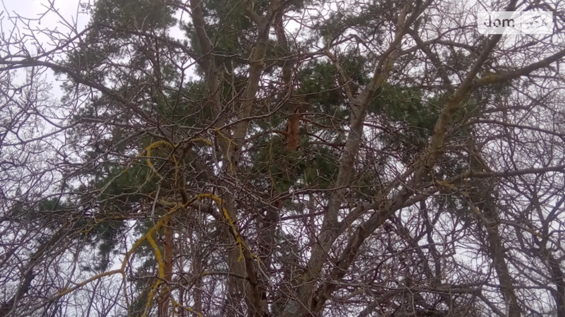 Продається земельна ділянка 17 соток у Київській області, цена: 125000 $ - фото 2