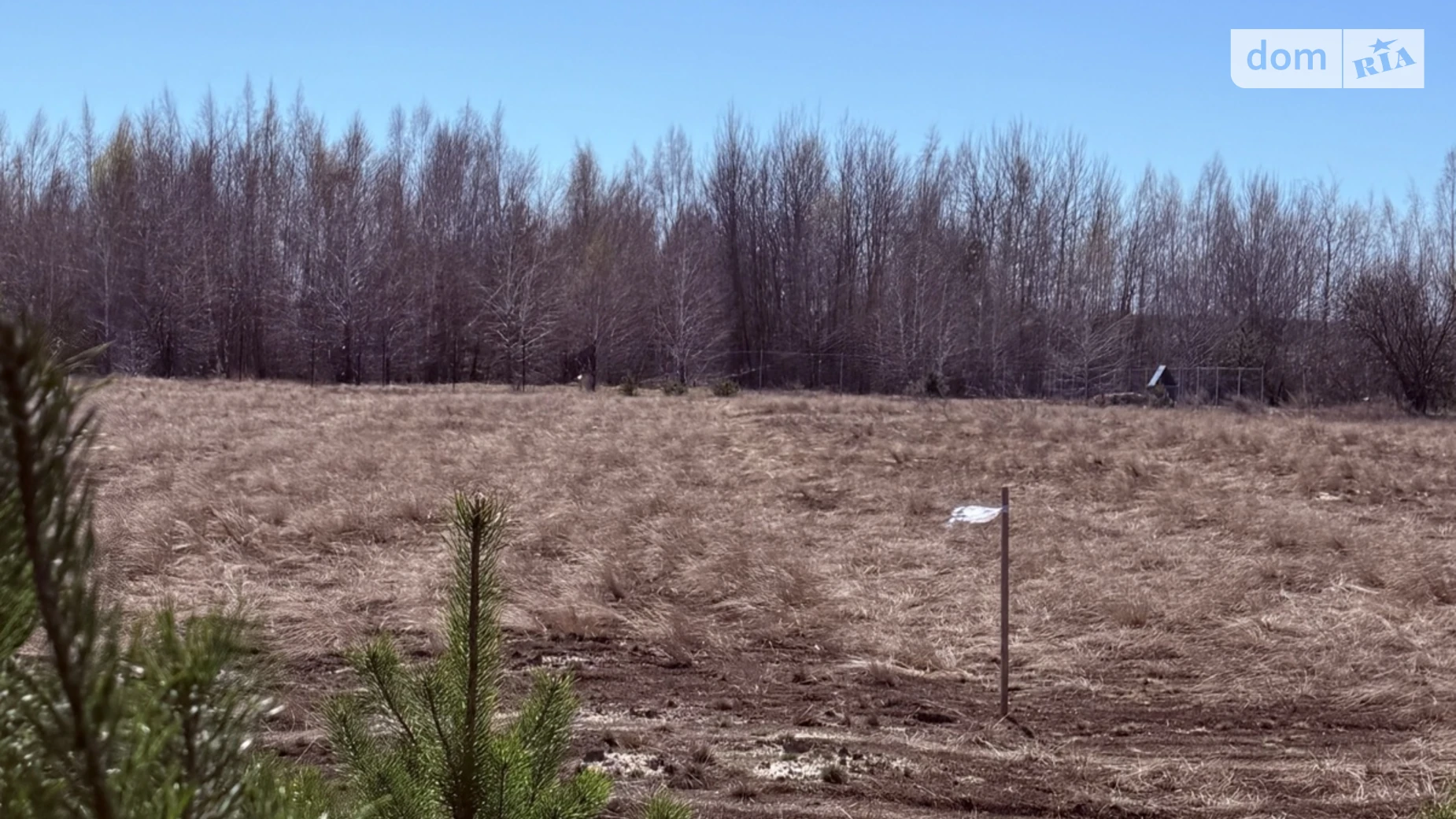 Продается земельный участок 25 соток в Киевской области, цена: 20000 $ - фото 2