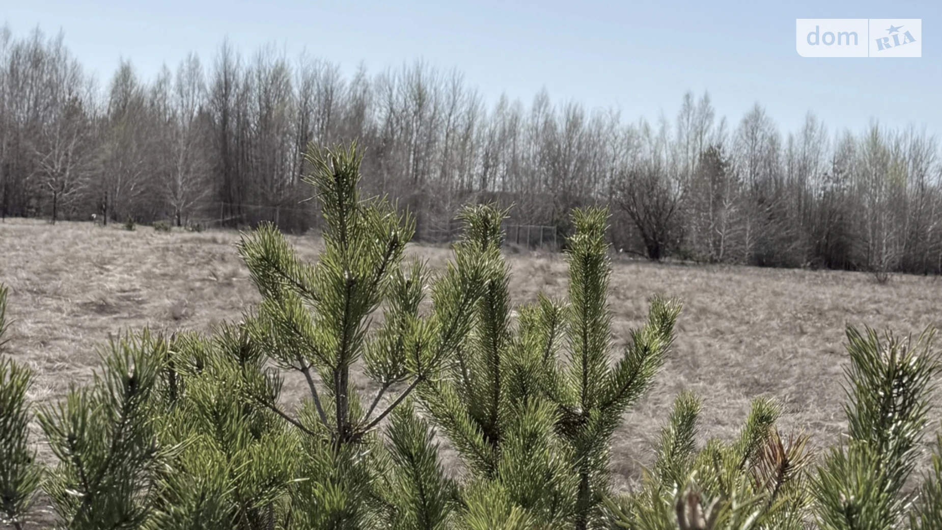 Продается земельный участок 25 соток в Киевской области, цена: 20000 $ - фото 3