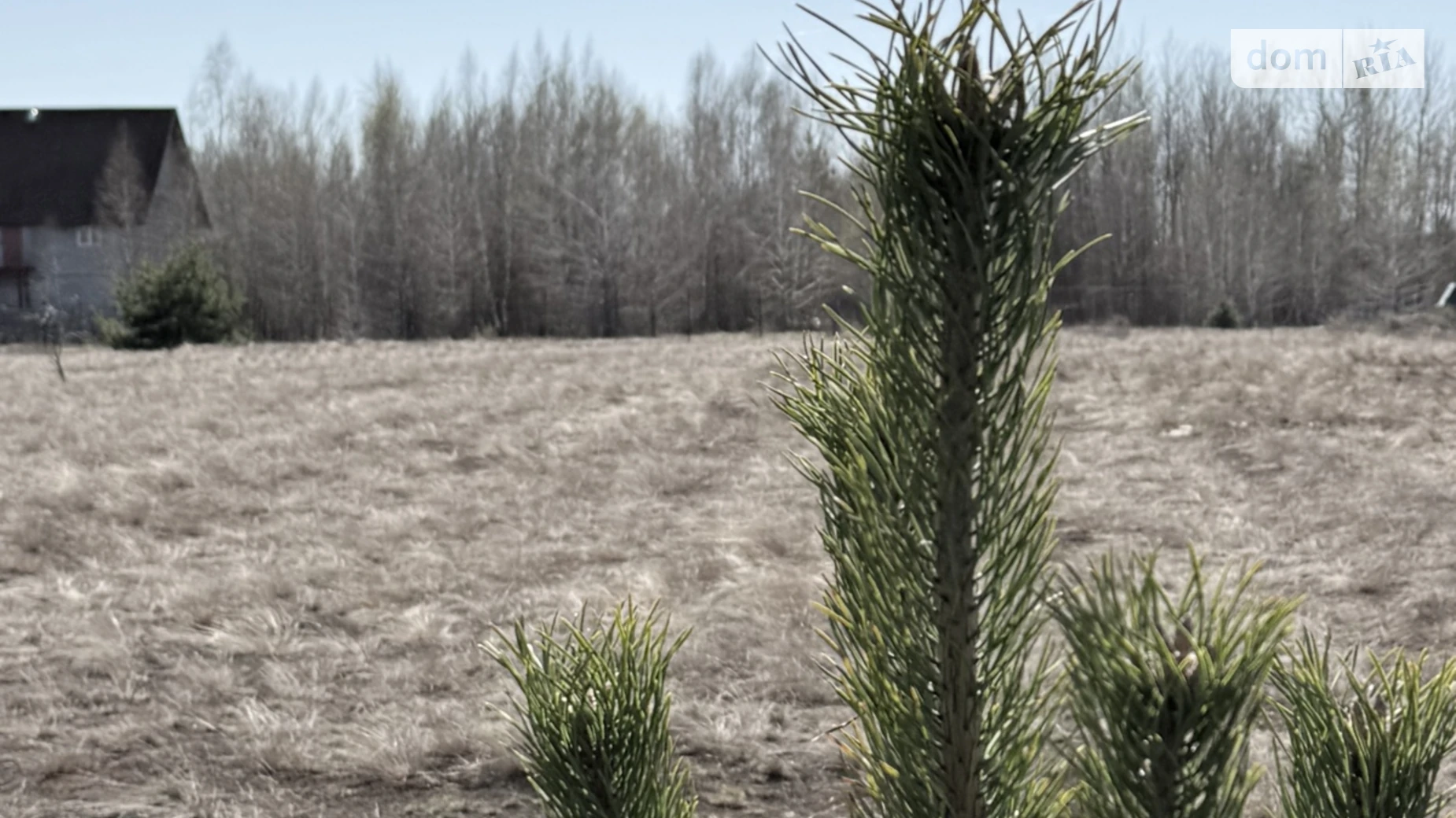 Продается земельный участок 25 соток в Киевской области, цена: 20000 $ - фото 4