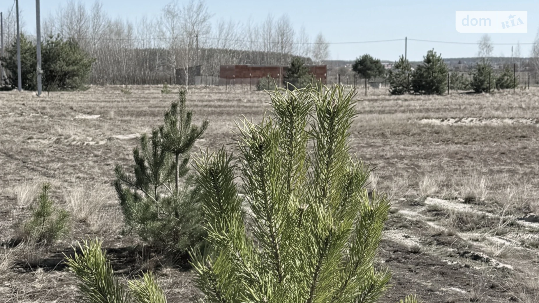 Продается земельный участок 25 соток в Киевской области, цена: 20000 $ - фото 5