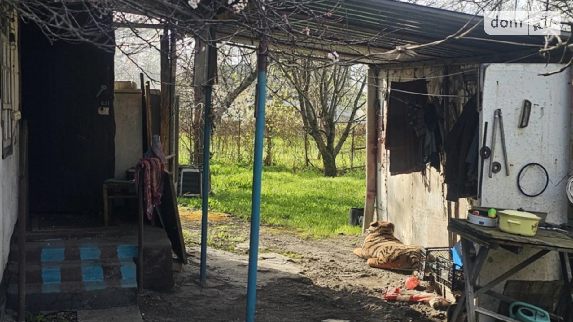 ул. Центральная Чумаки (Днепр), цена: 10000 $ - фото 3