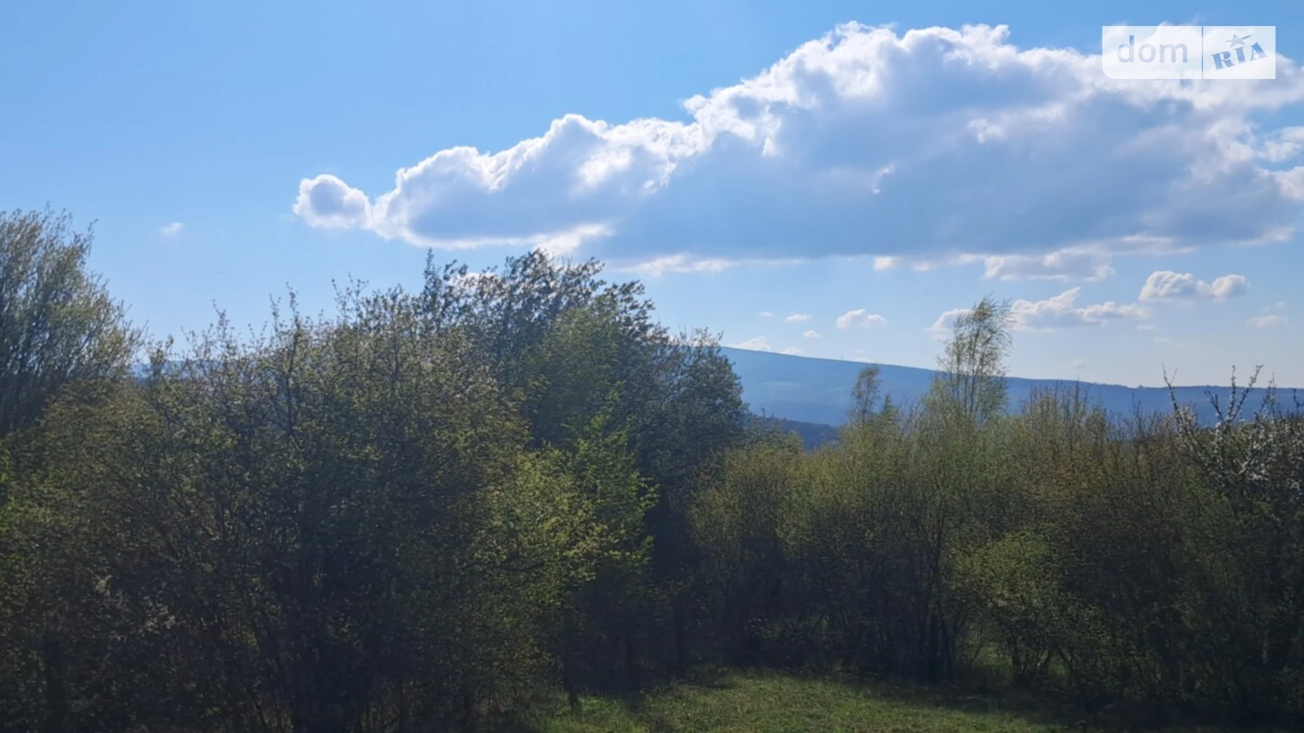 Продается земельный участок 30 соток в Закарпатской области, цена: 32000 $ - фото 2