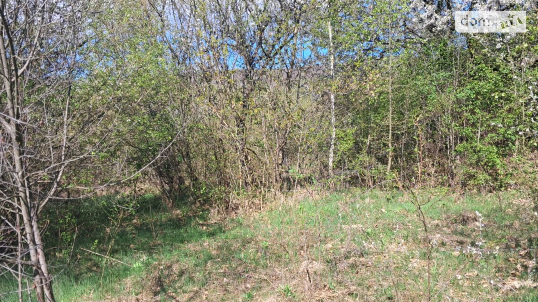 Продается земельный участок 30 соток в Закарпатской области, цена: 32000 $ - фото 3