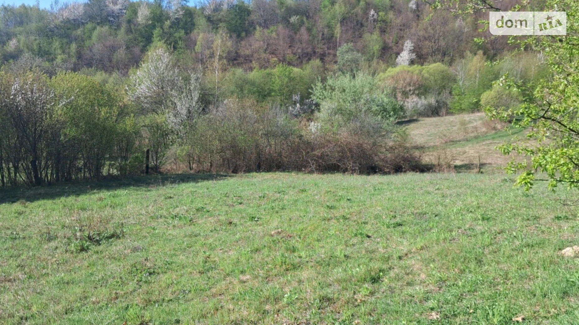 Продается земельный участок 30 соток в Закарпатской области, цена: 32000 $ - фото 4