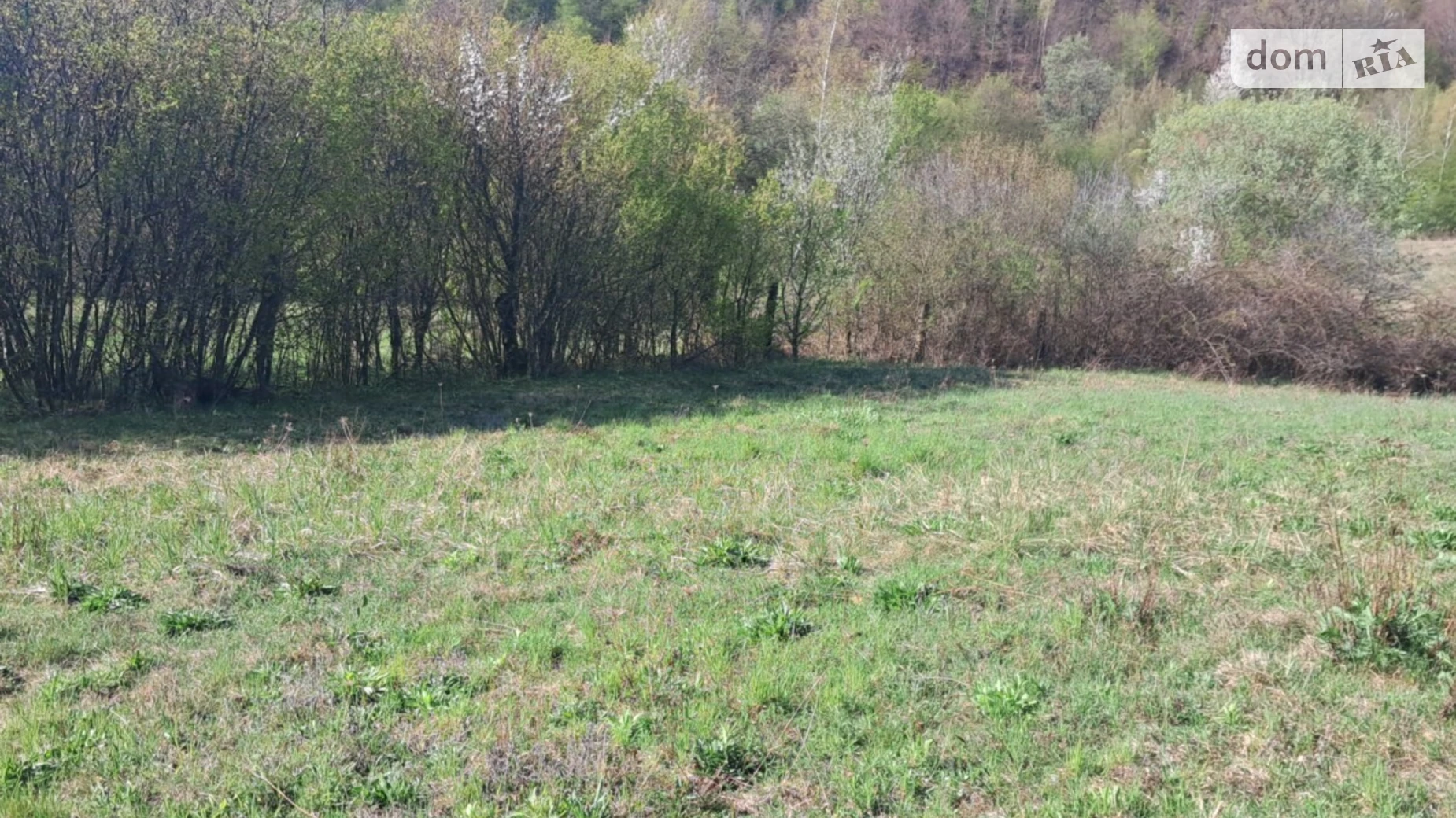 Продается земельный участок 30 соток в Закарпатской области, цена: 32000 $ - фото 5