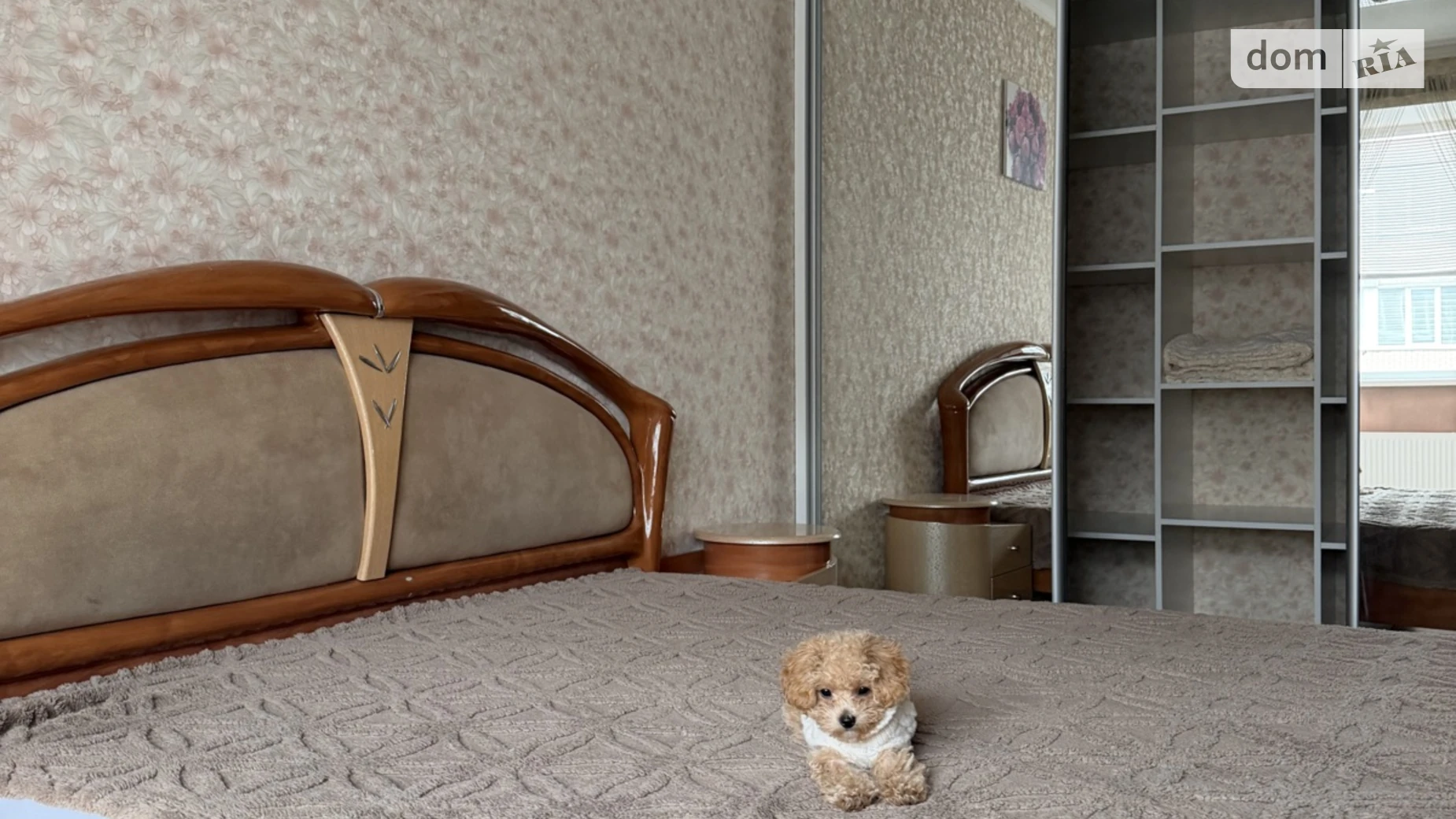 Сдается в аренду 1-комнатная квартира 49 кв. м в Хмельницком, ул. Лесогриневецкая - фото 4