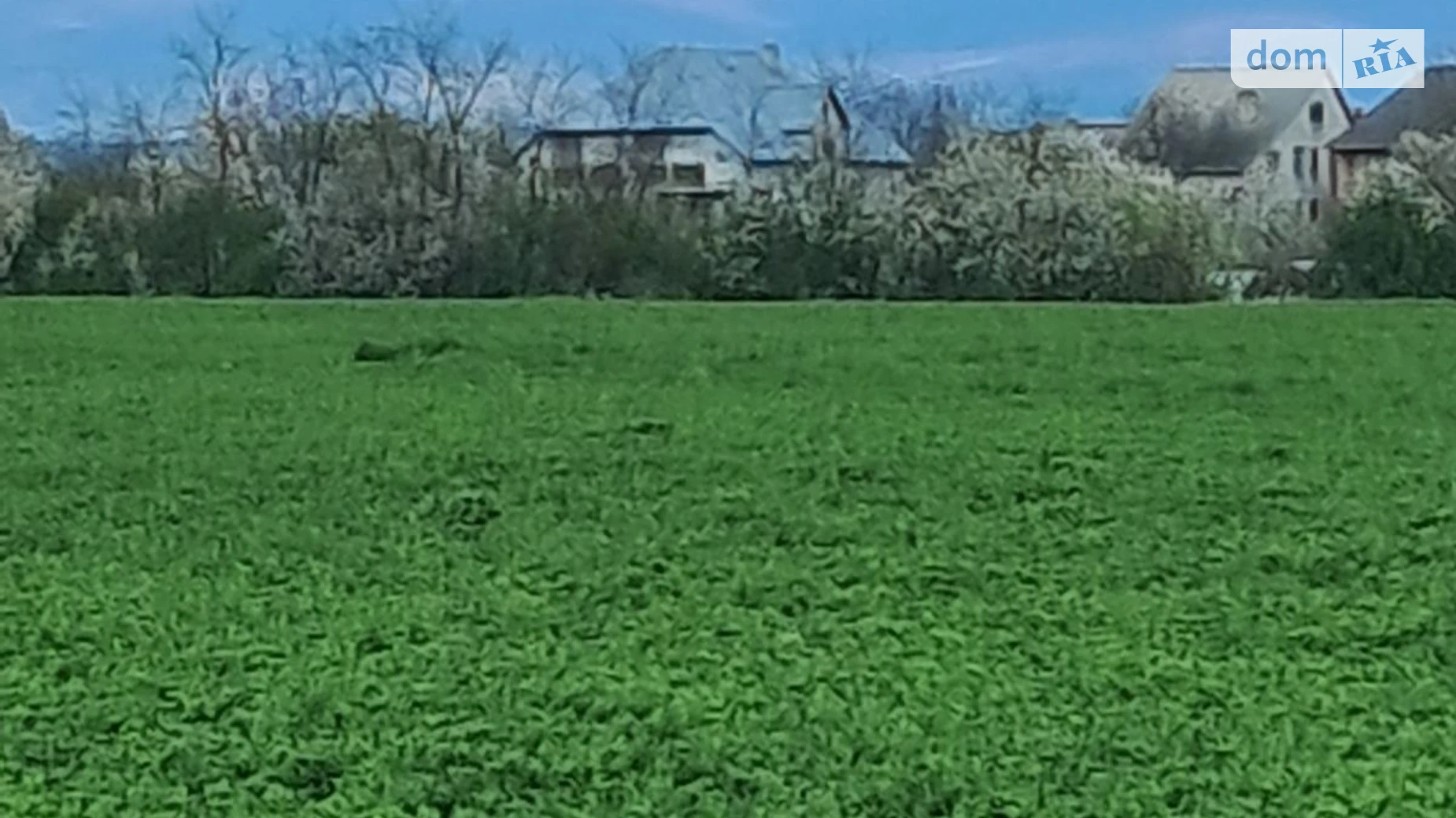 Продается земельный участок 31 соток в Закарпатской области, цена: 25000 $ - фото 3