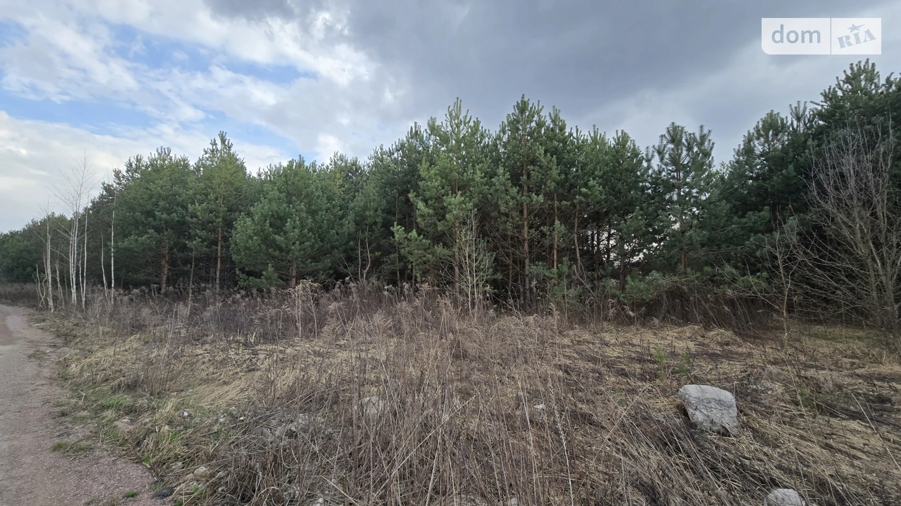 Продается земельный участок 10 соток в Житомирской области, цена: 11000 $ - фото 2