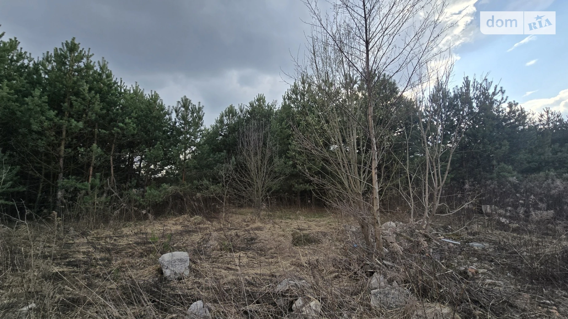 Продается земельный участок 10 соток в Житомирской области, цена: 11000 $ - фото 3