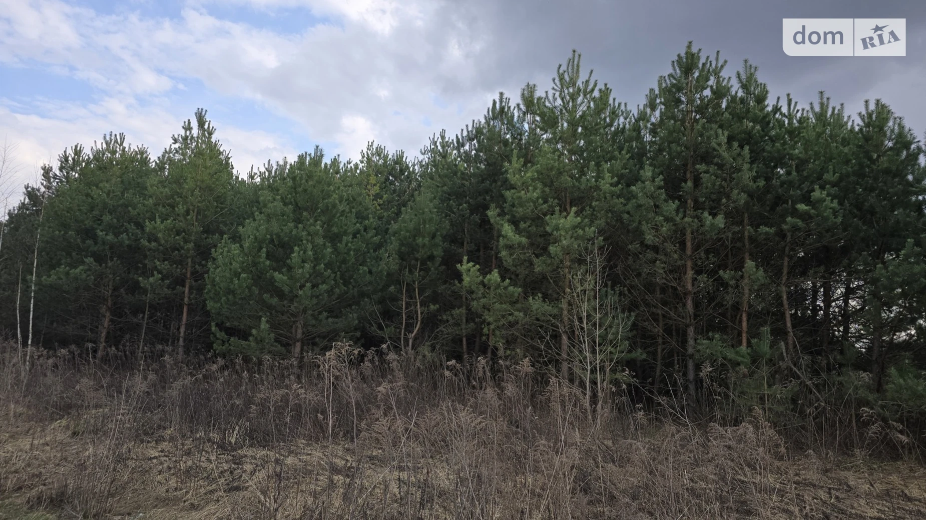 Продается земельный участок 10 соток в Житомирской области, цена: 11000 $ - фото 5