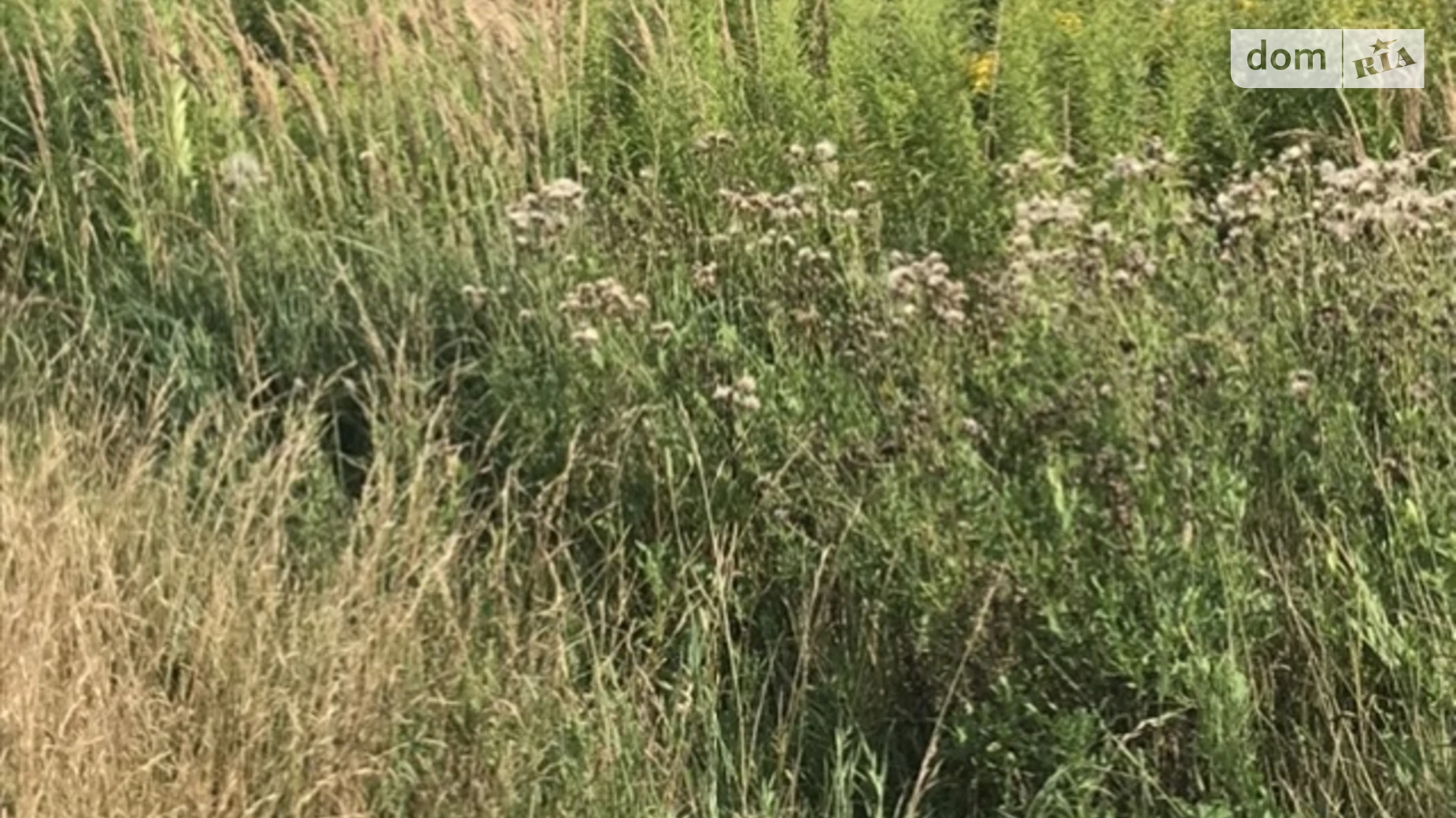 Продается земельный участок 6 соток в Львовской области, цена: 12300 $ - фото 2