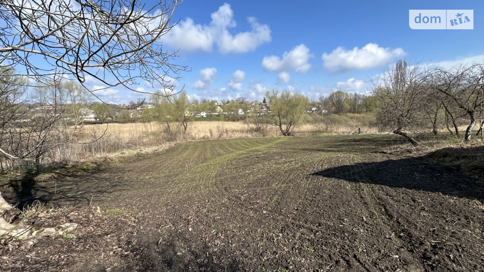 Гончарівка, 37 Скибин, цена: 6000 $ - фото 3